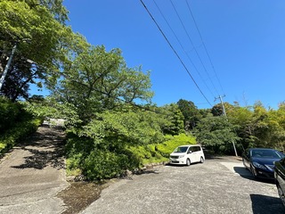 51952860-9653-4FF2-952A-8330266B5965.jpeg