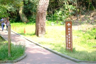 56EE78C6-A7FB-439B-A842-A2147D2E6943.jpeg