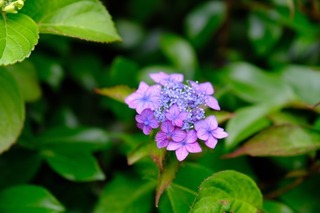 6FAE6159-3F5B-4E93-AF44-CE6C144C76D1.jpeg