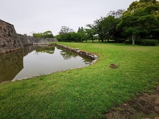 9E2C1104-B4AC-4ABC-867C-9966D75D9321.jpeg