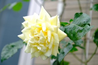 BDDF8083-4708-4F9B-94EB-506D9B246DA6.jpeg