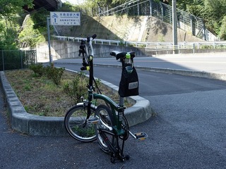 DSC00077.jpg