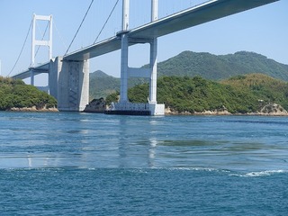 DSC00156.jpg