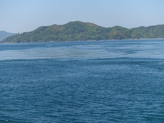 DSC00157.jpg