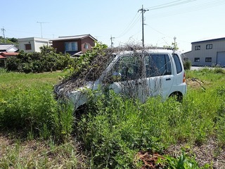 DSC00174.jpg