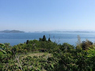 DSC00181.jpg