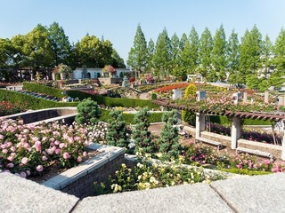 DSC00242-1.jpg
