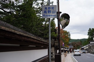 DSC00290.jpg