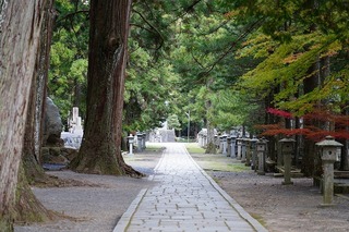 DSC00298.jpg