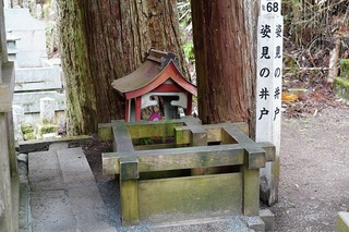 DSC00304.jpg