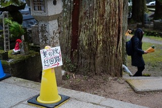 DSC00305.jpg