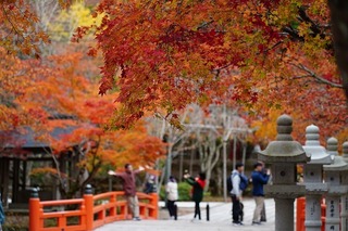 DSC00311.jpg