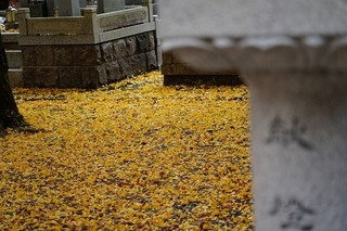 DSC00321.jpg