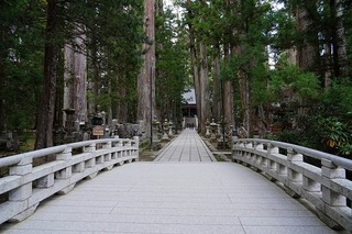 DSC00335.jpg