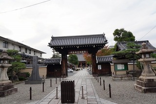 DSC00364.jpg