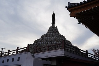 DSC00371.jpg
