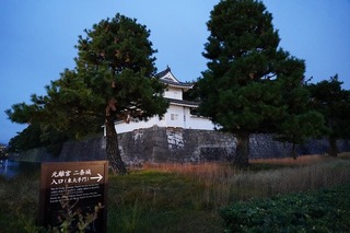 DSC00383.jpg