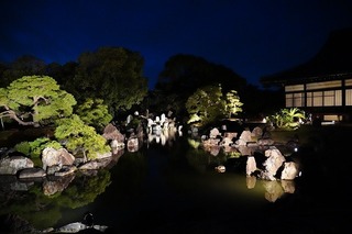 DSC00414.jpg