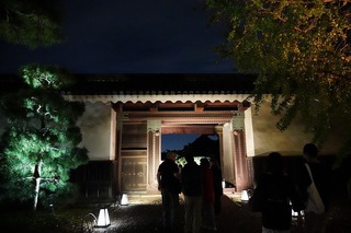 DSC00445.jpg