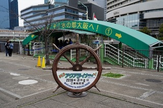 DSC00583.jpg