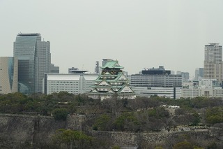 DSC00603.jpg