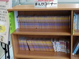 DSC01011.jpg