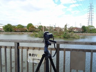 DSC01123.jpg