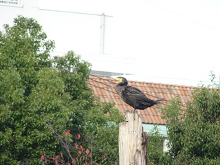 DSC01129.JPG