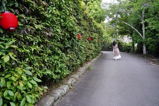 DSC01147.jpg