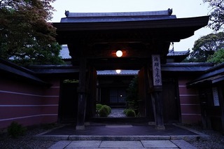 DSC01206.jpg