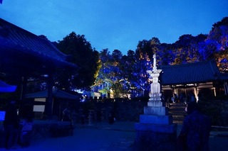 DSC01270.jpg