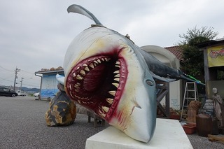 DSC01305.jpg