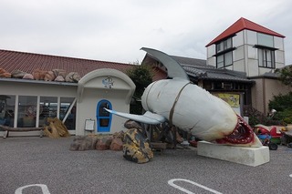 DSC01307.jpg