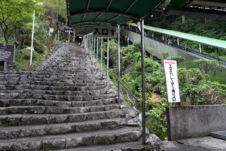 DSC01339.jpg