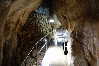 DSC01348.jpg