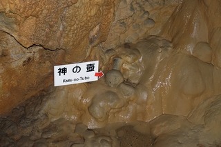 DSC01385.jpg