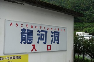 DSC01396.jpg