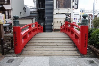 DSC01455.jpg