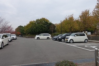 DSC02148.jpg