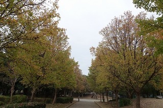 DSC02149.jpg