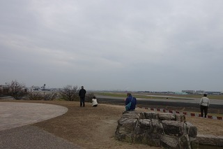 DSC02153.jpg