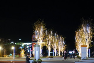 DSC02400.JPG