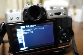 DSC02538.JPG