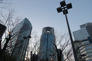 DSC02545.JPG