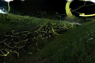 DSC03187xxx.jpg