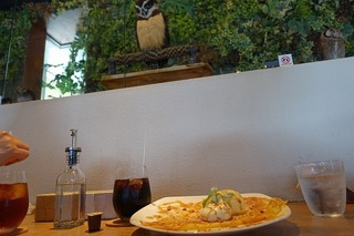 DSC03277.jpg