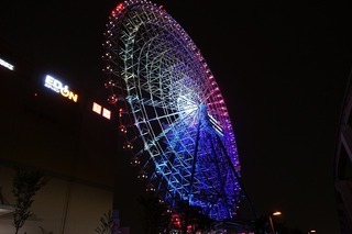 DSC03313.jpg