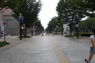 DSC03467.jpg