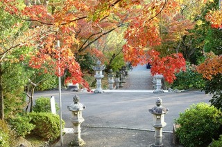 DSC04530.jpg
