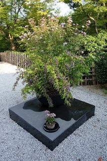 DSCF0063.jpg
